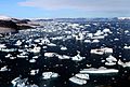 Glaciers and Icebergs at Cape York