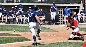 Hoya baseball