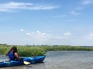 Kayaking excursion to Ruffle Bar