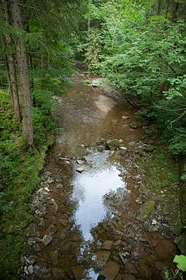 La Broye à Maracon.jpg