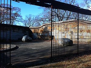 Long Crouch Woods Bear Dens - Cage