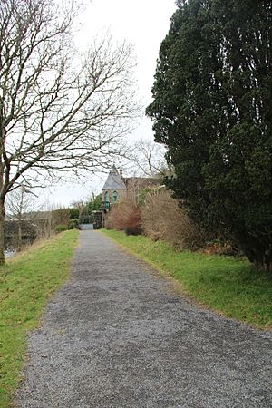 Lough Rynn shoreline