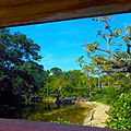 Morikami Museum View of Grounds