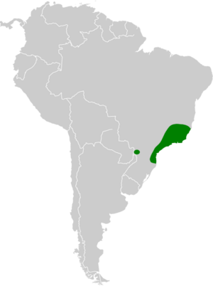 Phaethornis squalidus map.svg