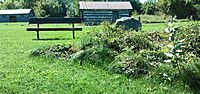 Pinney Homestead erected 1825 outbuilding