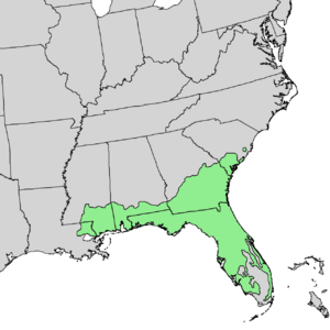 Pinus elliottii range map.png