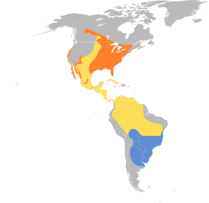 Progne subis map.svg