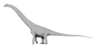 Puertasaurus reuili.png