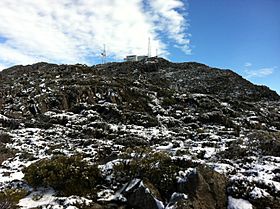 Radio Terminal Mt Barrow Summit.jpg