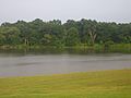 Riverside Park in Jonesville, LA IMG 1181