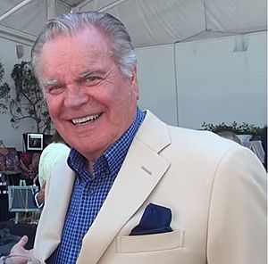 Robert Wagner on MBN Newsvideoweb