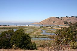 Salt marsh, Coyote Hills.jpg