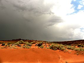 Sand Hollow State Park, Utah.jpg