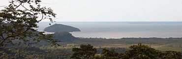 Snapper Low Isles QLD.JPG