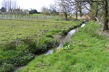 Stanney Brook.jpg