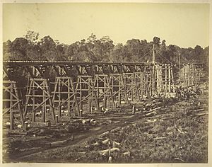 StateLibQld 2 234324 Splitters Creek railway bridge near Bundaberg