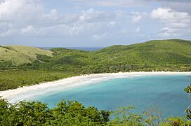 Sunaddict-de-culebra-puerto-rico-2015 – 06