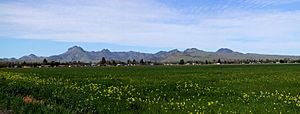 Sutter Buttes