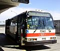 TTC NovaBus -7240.jpg