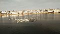 Temples at Pushkar Lake