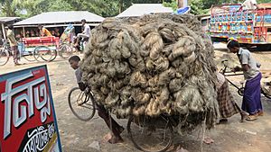 Transporting Jute In Rural Bangladeshi Village 16