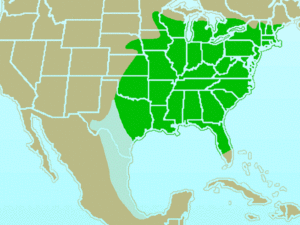 Tufted Titmouse-rangemap.gif