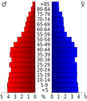 USA Wyandotte County, Kansas age pyramid