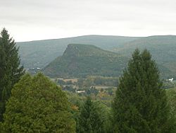 Vroman'snose