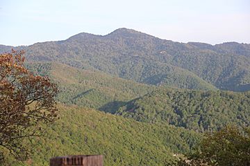 Waterrock Knob viewed from the Plott Balsams overlook, May 2017 3.jpg