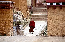 Zhongdian-sumtseling-gompa-c05