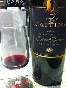 Alexander valley cab