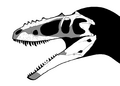 Alioramus skull steveoc