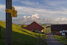 Andwil Alpstein.jpg