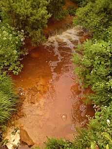 AngleseyCopperStream