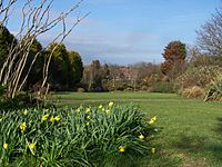 Bispham Rock Gardens01