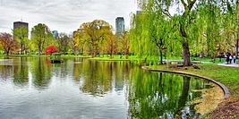 Boston Public Garden panorama