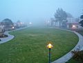 CSUMB Fog