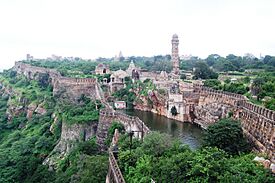 Chittorgarh fort.JPG