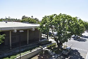 Clifton M. Brakensiek Library