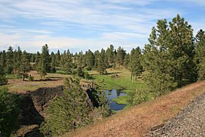 Columbia plateau trail IMG 1549.jpg