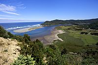 Desembocadura río llico (32358771915)