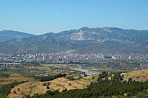 Elbasan from South