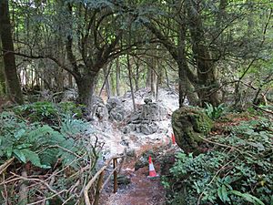 Fake snow at Puzzlewood