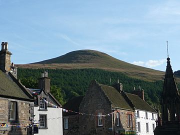 Falkland Hill 01.jpg