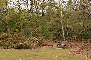 Fishponds Wood Nature Reserve (7217633984)