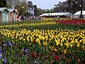 Floriade07