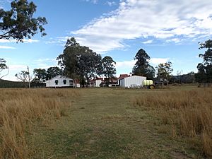 Franklyn Vale Homestead wide.jpg