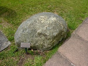 Grave of Meg Shelton