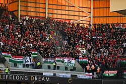 Hungarian supporters in England