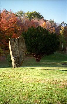 Innisfree Garden